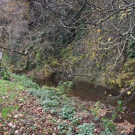 Pheasant בית נופש *