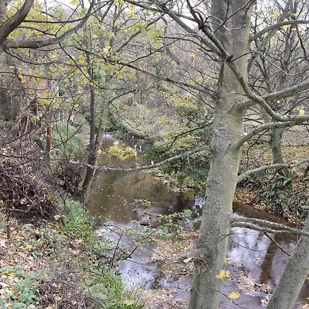 בית נופש Pheasant *